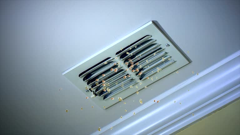 Best Ductwork Cleaning Services  in Grant Park, IL