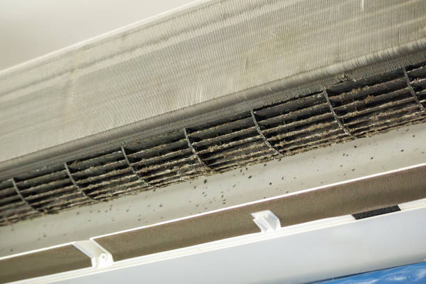 Best General Air Duct Cleaning  in Grant Park, IL